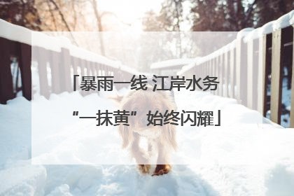 暴雨一线 江岸水务“一抹黄”始终闪耀