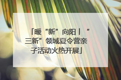 暖“新”向阳丨“三新”领域夏令营亲子活动火热开展