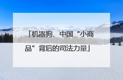 机器狗、中国“小商品”背后的司法力量