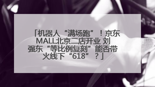 机器人“满场跑”！京东MALL北京二店开业 刘强东“等比例复刻”能否带火线下“618”？
