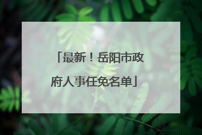 最新！岳阳市政府人事任免名单