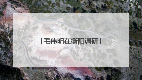毛伟明在衡阳调研