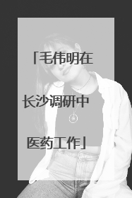 毛伟明在长沙调研中医药工作