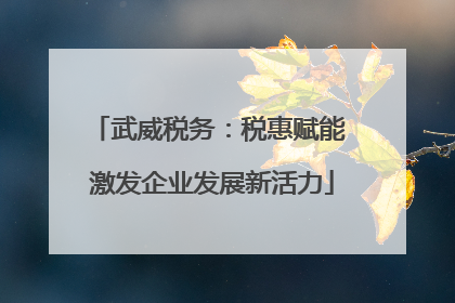 武威税务：税惠赋能 激发企业发展新活力