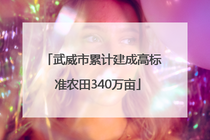 武威市累计建成高标准农田340万亩