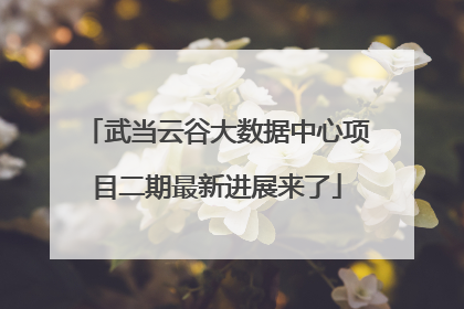 武当云谷大数据中心项目二期最新进展来了