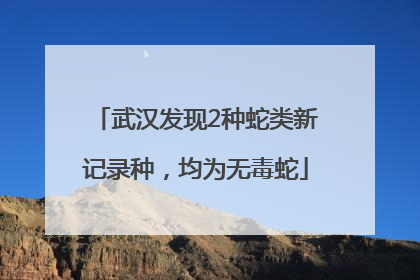 武汉发现2种蛇类新记录种，均为无毒蛇