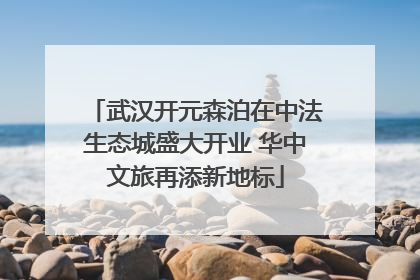 武汉开元森泊在中法生态城盛大开业 华中文旅再添新地标
