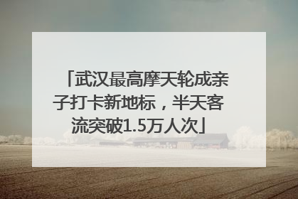 武汉最高摩天轮成亲子打卡新地标，半天客流突破1.5万人次