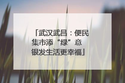 武汉武昌：便民集市添“绿”意 银发生活更幸福