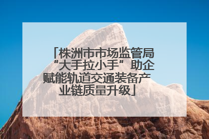 株洲市市场监管局“大手拉小手”助企赋能轨道交通装备产业链质量升级