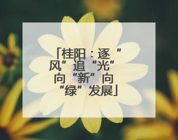 桂阳：逐“风”追“光” 向“新”向“绿”发展