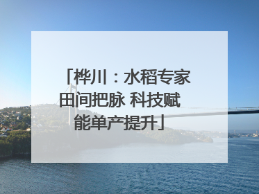 桦川：水稻专家田间把脉 科技赋能单产提升