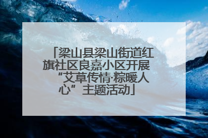 梁山县梁山街道红旗社区良嘉小区开展“艾草传情·粽暖人心”主题活动