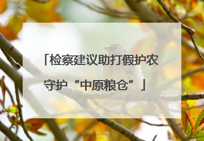 检察建议助打假护农守护“中原粮仓”
