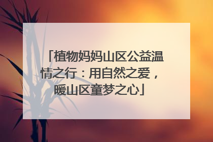 植物妈妈山区公益温情之行：用自然之爱，暖山区童梦之心