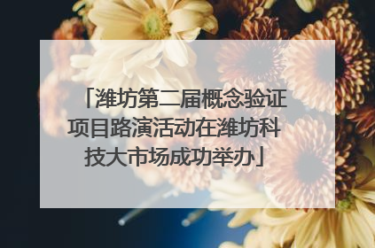 潍坊第二届概念验证项目路演活动在潍坊科技大市场成功举办