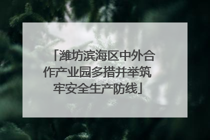 潍坊滨海区中外合作产业园多措并举筑牢安全生产防线