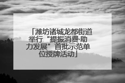 潍坊诸城龙都街道举行“提振消费·助力发展”首批示范单位授牌活动