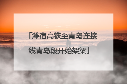 潍宿高铁至青岛连接线青岛段开始架梁