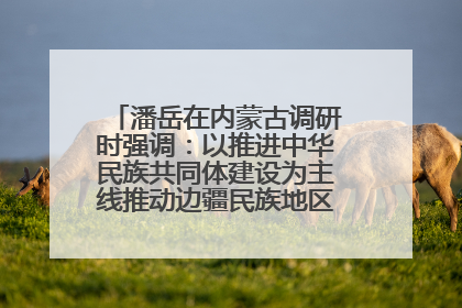 潘岳在内蒙古调研时强调：以推进中华民族共同体建设为主线推动边疆民族地区高质量发展