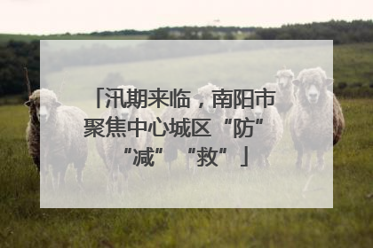 汛期来临，南阳市聚焦中心城区“防”“减”“救”