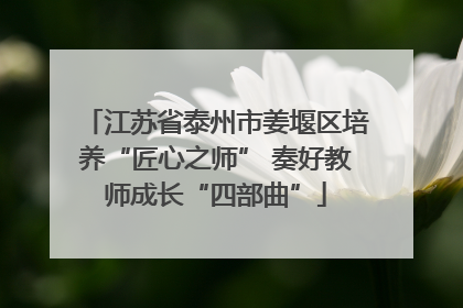 江苏省泰州市姜堰区培养“匠心之师” 奏好教师成长“四部曲”