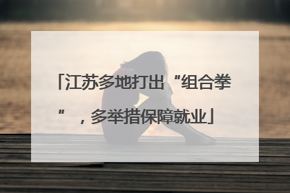 江苏多地打出“组合拳”，多举措保障就业