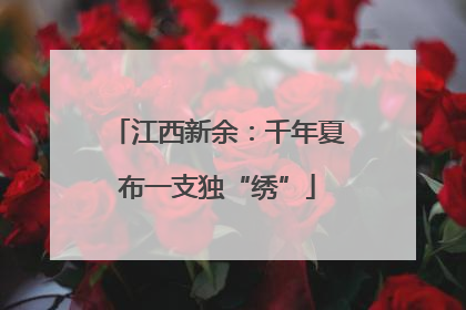 江西新余：千年夏布一支独“绣”