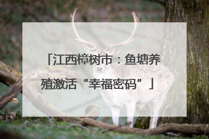 江西樟树市：鱼塘养殖激活“幸福密码”