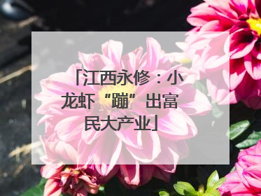 江西永修：小龙虾“蹦”出富民大产业