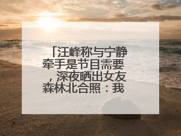 汪峰称与宁静牵手是节目需要，深夜晒出女友森林北合照：我俩好着呢！