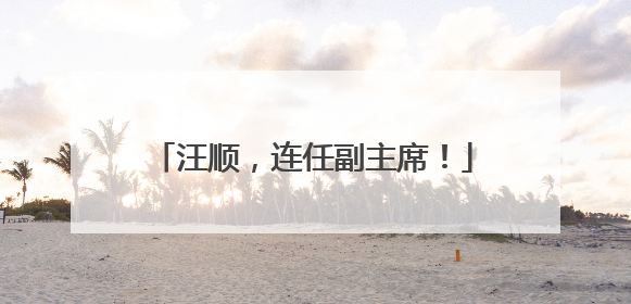 汪顺，连任副主席！