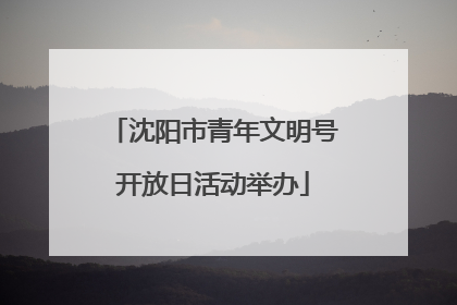 沈阳市青年文明号开放日活动举办