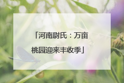 河南尉氏：万亩桃园迎来丰收季