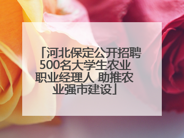 河北保定公开招聘500名大学生农业职业经理人 助推农业强市建设