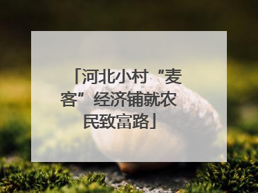 河北小村“麦客”经济铺就农民致富路