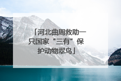 河北曲周救助一只国家“三有”保护动物翠鸟