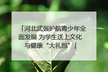 河北武强护航青少年全面发展 为学生送上文化与健康“大礼包”