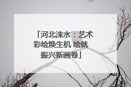 河北涞水：艺术彩绘焕生机 绘就振兴新画卷