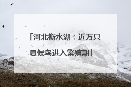 河北衡水湖：近万只夏候鸟进入繁殖期