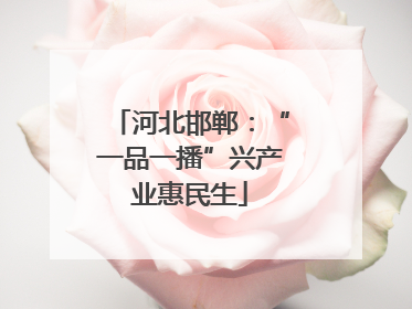 河北邯郸：“一品一播”兴产业惠民生