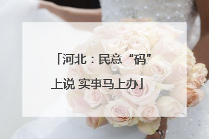河北：民意“码”上说 实事马上办