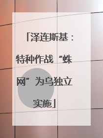 泽连斯基：特种作战“蛛网”为乌独立实施