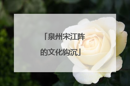 泉州宋江阵的文化钩沉