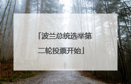 波兰总统选举第二轮投票开始