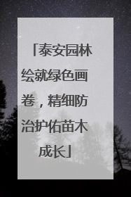 泰安园林绘就绿色画卷，精细防治护佑苗木成长