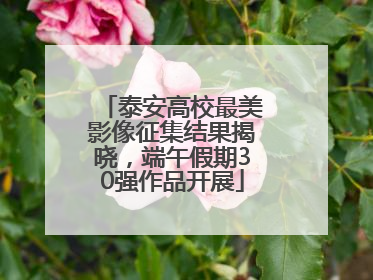 泰安高校最美影像征集结果揭晓，端午假期30强作品开展