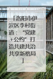洛阳市伊滨区李村街道：“党建+公约”打造共建共治共享新格局