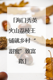 海口秀英火山荔枝王铺就乡村“甜蜜”致富路